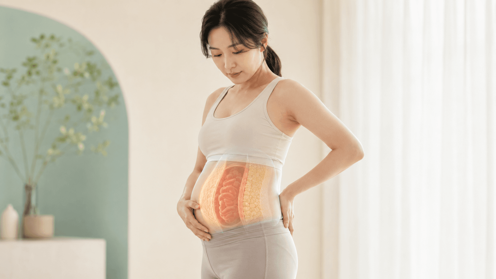 정상 체중이지만 복부 단면이 시각화된 한국인 여성 — 내장지방·피하지방 레이어 일러스트