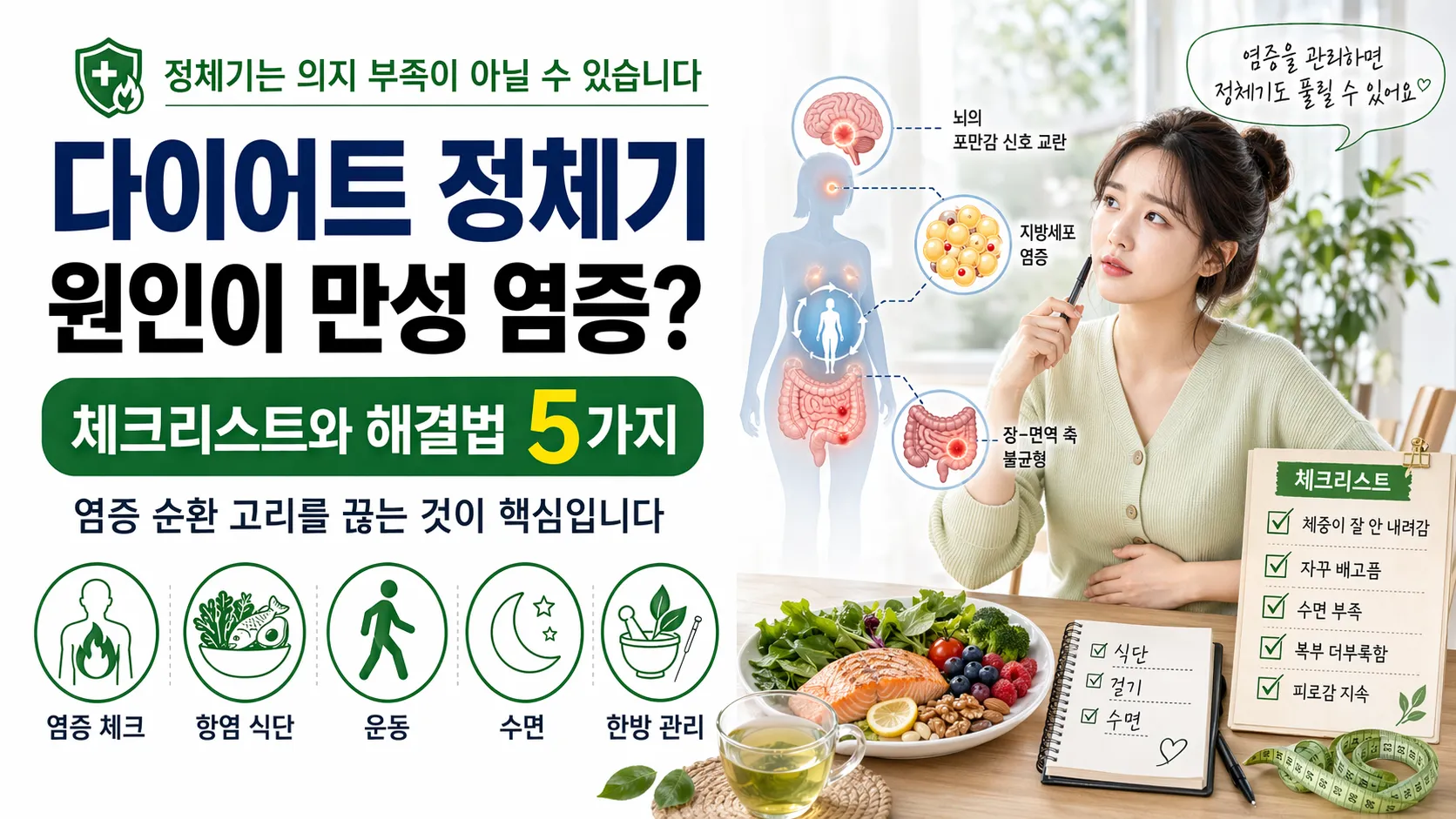 다이어트 정체기 원인인 만성 염증 체크리스트와 항염 식단 일러스트